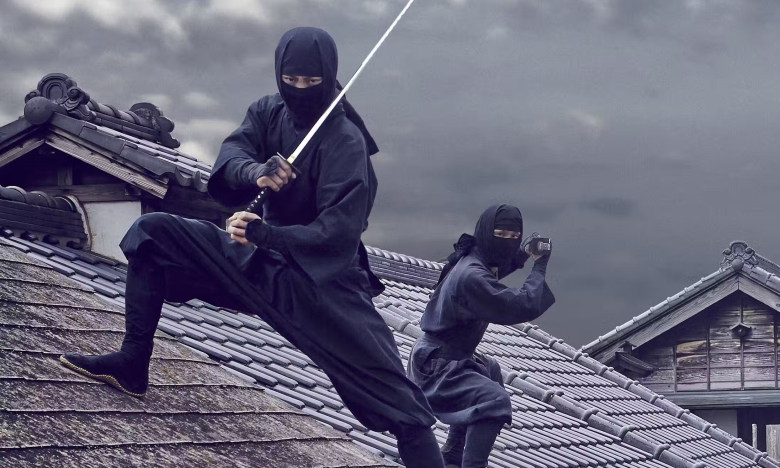 Добірка фільмів про ніндзя до Міжнародного дня ніндзя