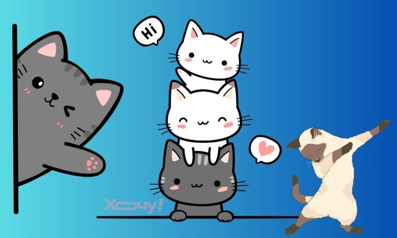 Кототерапия в фото онлайн — милые и смешные фото кошек