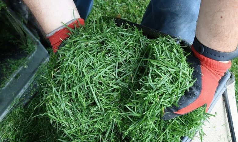 как использовать скошенную траву