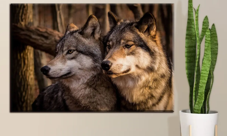 Картина с изображением двух волков, фото