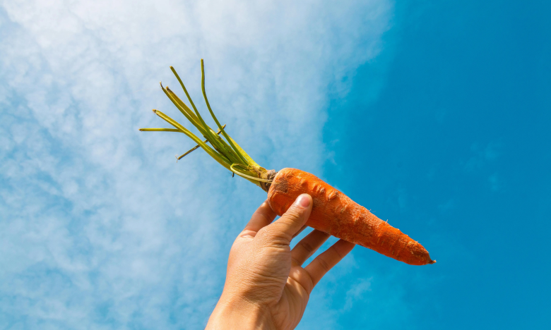 сажать морковь