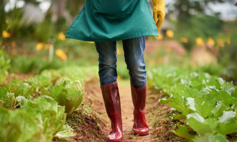 уход за огородом