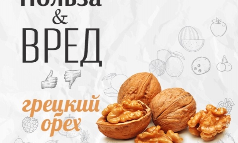 Грецкие орехи с медом: рецепт приготовления в блоге АйДаМёд - internat-mednogorsk.ru