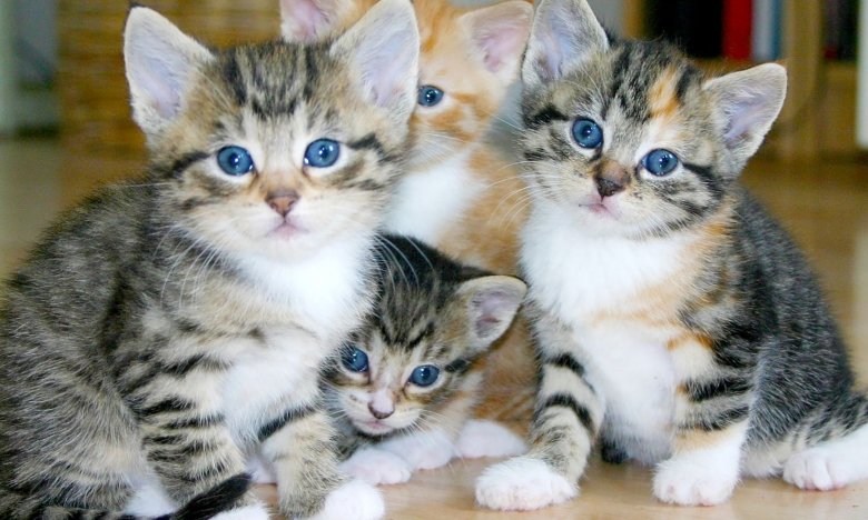 Експрес-тест на удачу