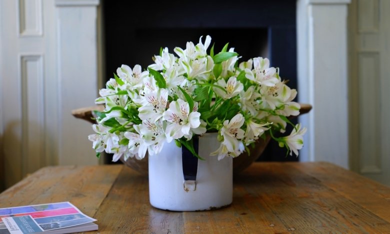 Як засушити квіти з букета на згадку - покрокова інструкція та ідеї для натхнення