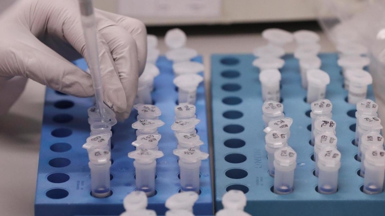 Британские ученые начинают тестировать вакцину от коронавируса, изготовленную в Оксфордском университете - фото №1