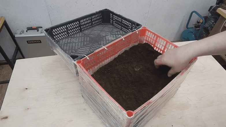 куди висадити розсаду