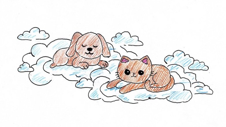 Як пережити смерть улюбленця, щоб не впасти в депресію - поради психолога