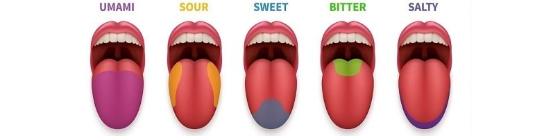 еда не может быть исключительно сладкой