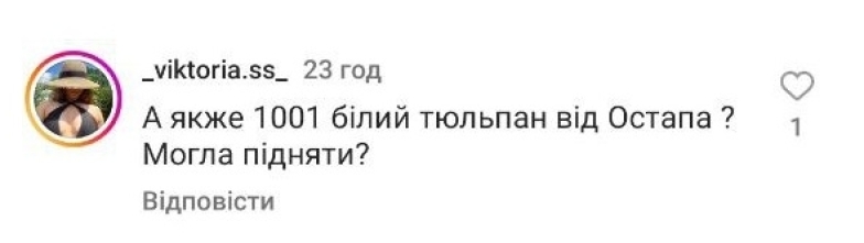 "Ні розуму, ні совісті": блогерка Верба нарвалась на "комліменти" через букет з 1001 троянди, який вона не може підняти (ФОТО) - фото №9