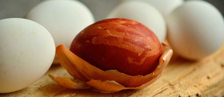 Яйце, пофарбоване у лушпинні цибулі - фото