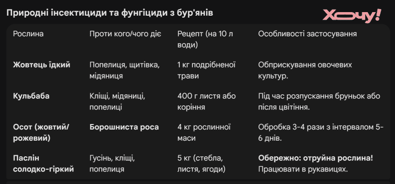 Борьба с вредителями без химии: польза желтцу, паслена, одуванчика и осота на участке