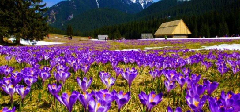 Куди поїхати навесні 2026 в Україні