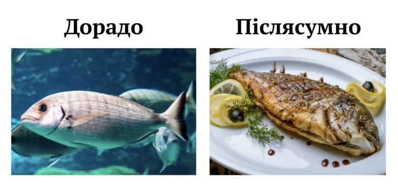 Порция юмора для бодрого дня