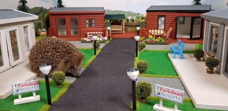 В Великобритании открылся первый в мире парк для ежей: смотрите, как он выглядит (ФОТО+ВИДЕО) - фото №1