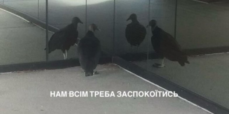Свіжий гумор у картинках для гарного настрою