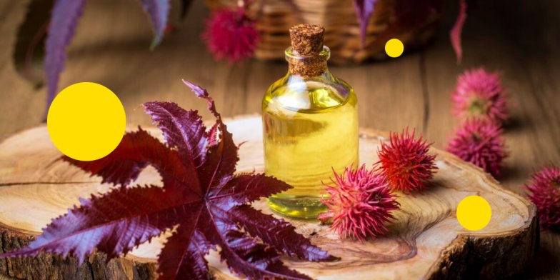 Как отрастить густые ресницы в домашних условиях