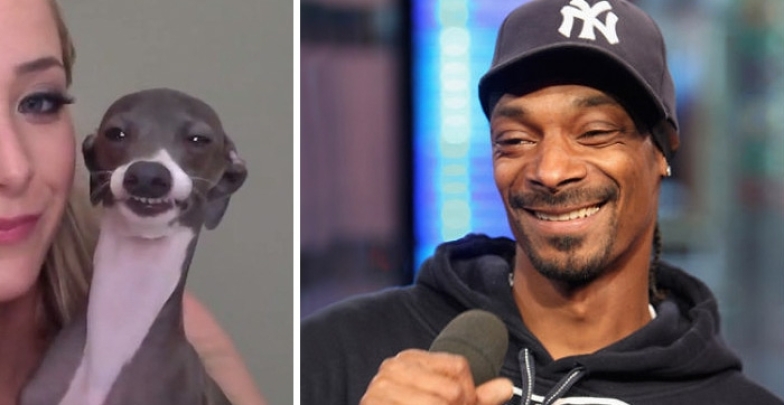 Snoop Dogg і схожий собака