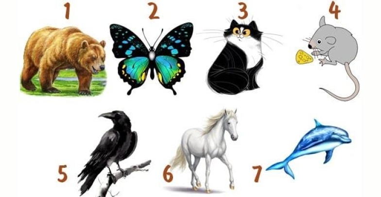 Психологічний тест“ Яка тварина відповідає вашому внутрішньому стану” - фото №1