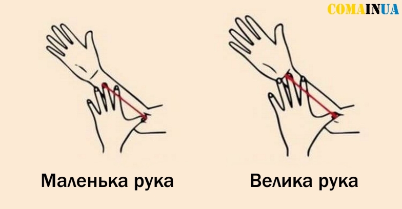 Как по размеру руки узнать о характере человека: ТЕСТ - фото №1