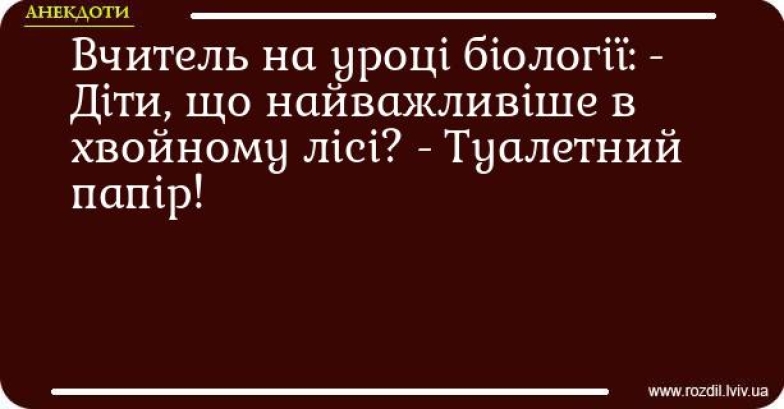 День туалетной бумаги: приколы, мемы и анекдоты