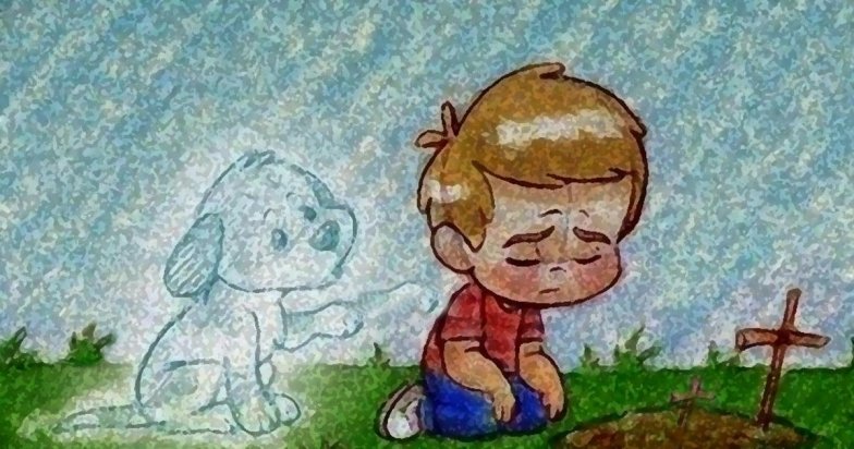 Як пережити смерть улюбленця, щоб не впасти в депресію - поради психолога