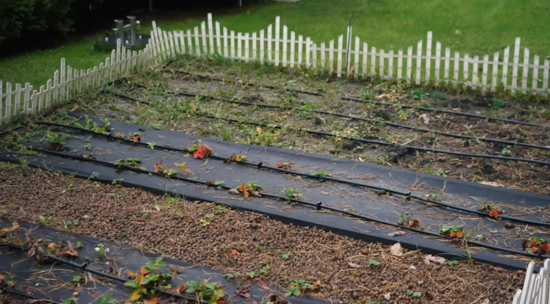 Где живет бывшая Мохаммада Захура Камалия и их дети