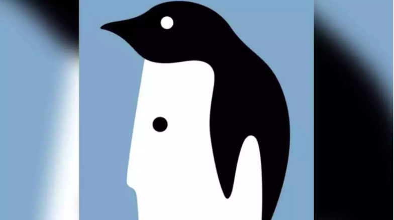 На фото оптична ілюзія пінгвін і людина