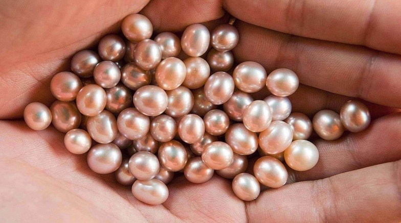 Цікаві факти про перли: у чому їх унікальність і як визначити, що ваша прикраса - з натуральних перлів - фото №1