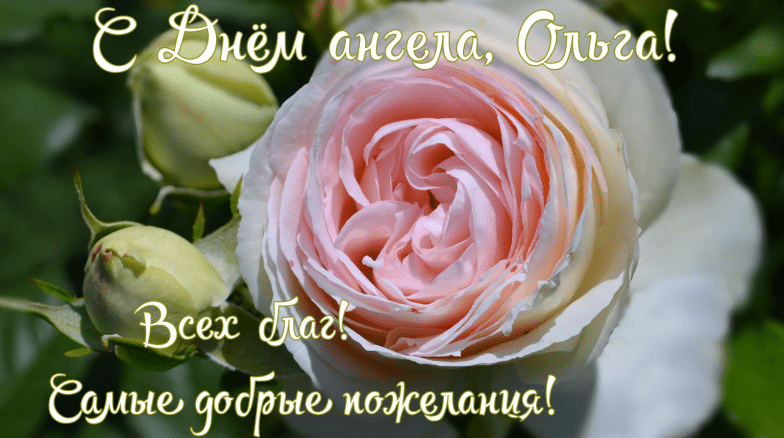 с днем ангела ольги