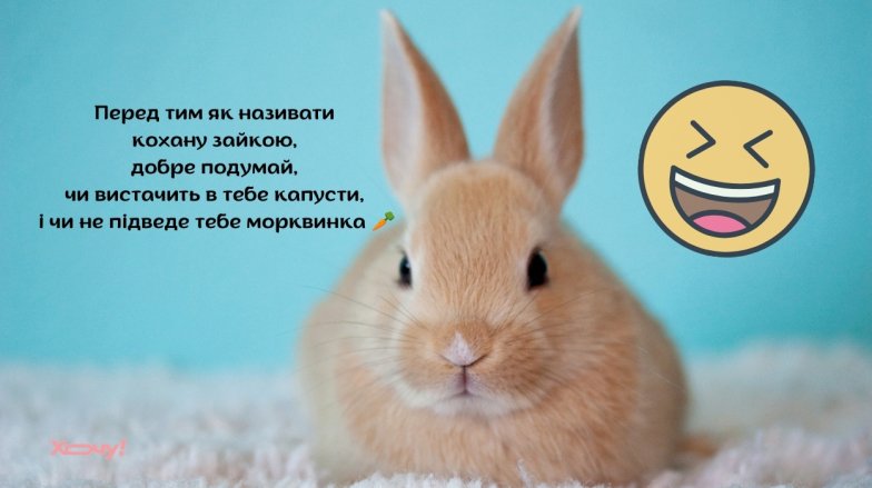 приколи про секс
