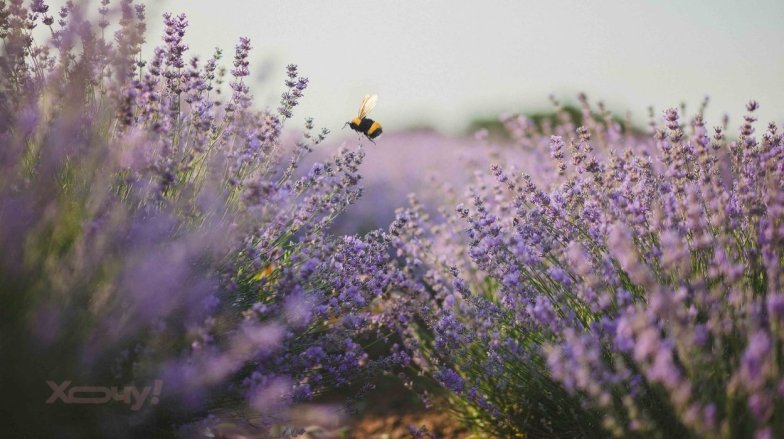 Позитивні афірмації для жінок - що це і як їх практикувати