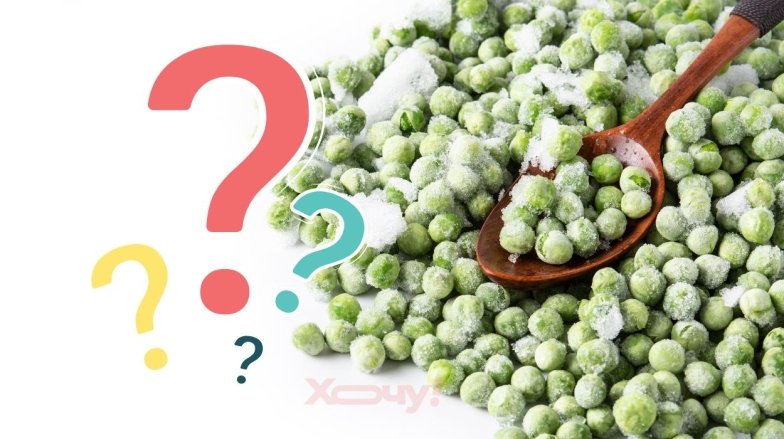 Как заморозить кабачки, помидоры, перец и другие овощи на зиму – подробная инструкция, лайфхаки