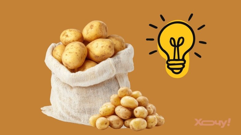 Как использовать мелкий картофель как удобрение и сидерат: советы огородникам