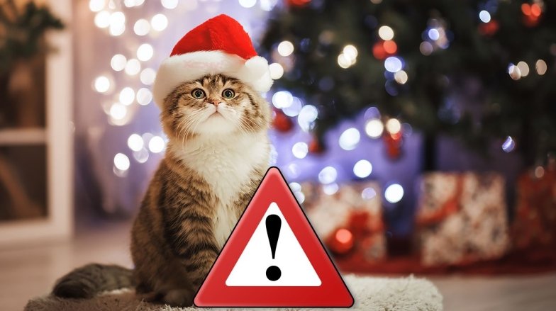 Що не можна тваринам на Новий рік: перелік небезпечних речей та продуктів