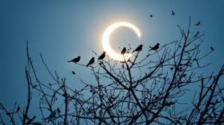 На фото  Повне затемнення
