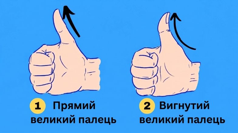 Тест на характер за руками — що означає форма великого пальця