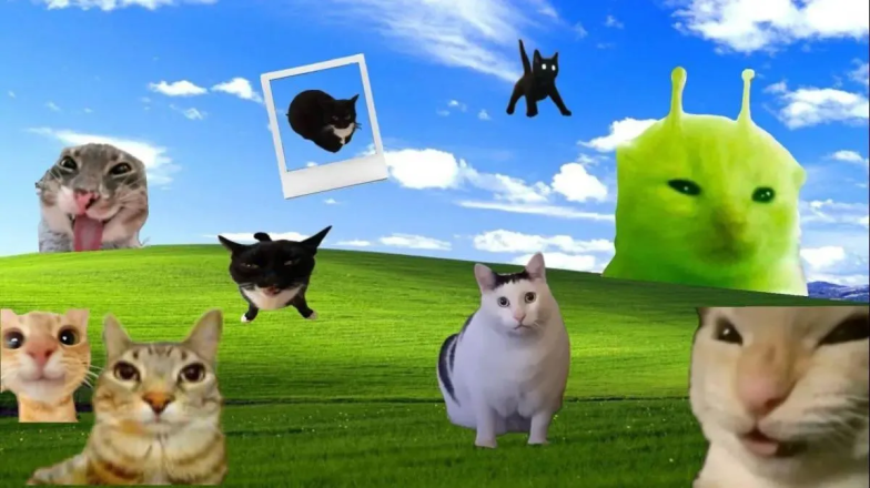 Які шпалери з мемами поставити на телефон