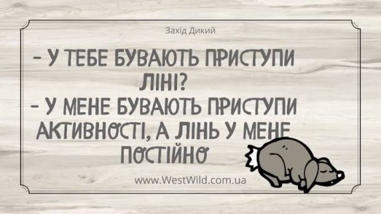Приколы о лень и ленивых людях