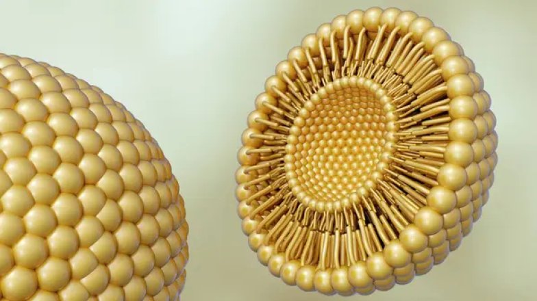 У яких засобах можна знайти ліпосоми