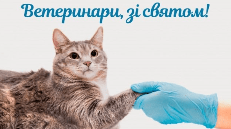 з днем ветеринара листівки