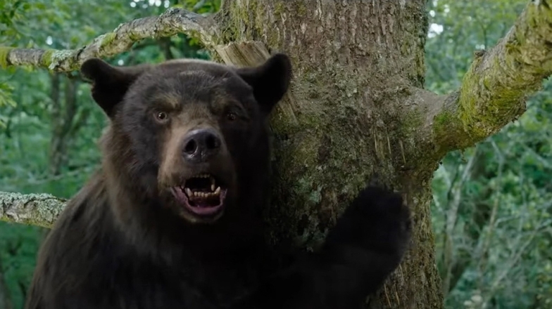 Дата выхода фильма "Кокаиновый медведь" - реальная история о том, как медведь съел мешок кокаина - фото №3