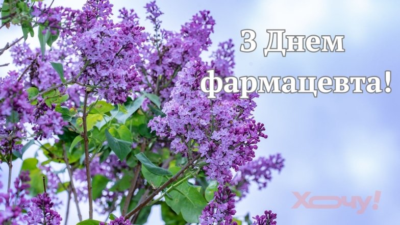 День фармацевта 2025 Поздравления с Днем фармацевта