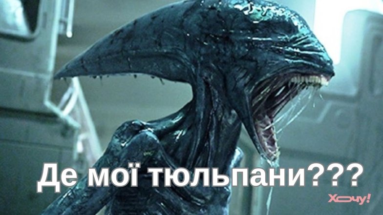 Привітання з 8 Березня жартами та приколами