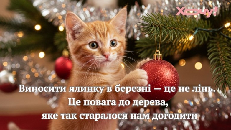 Смешные шутки и приколы к столу