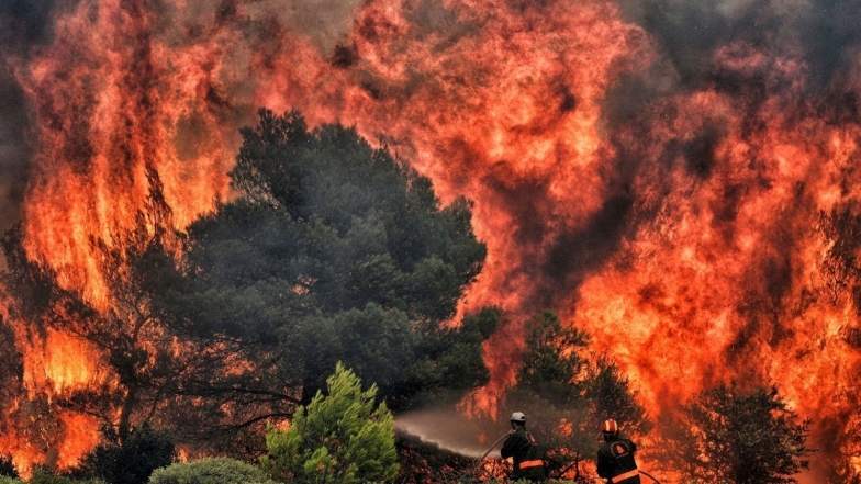 Украинские спасатели отправились тушить лесные пожары в Греции - фото №3