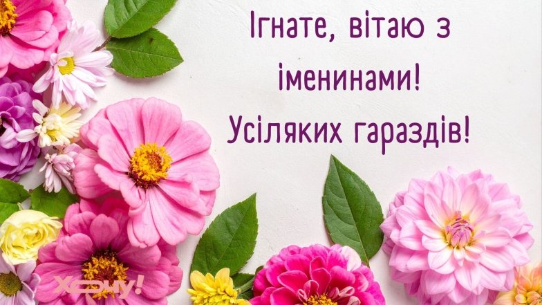 с днем ангела игнат