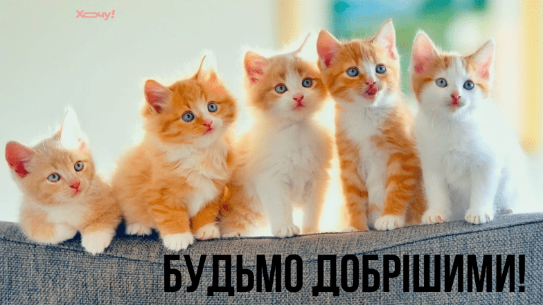 день доброти картинки