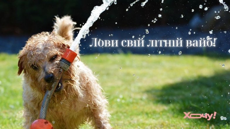 Вітаємо з першим червня