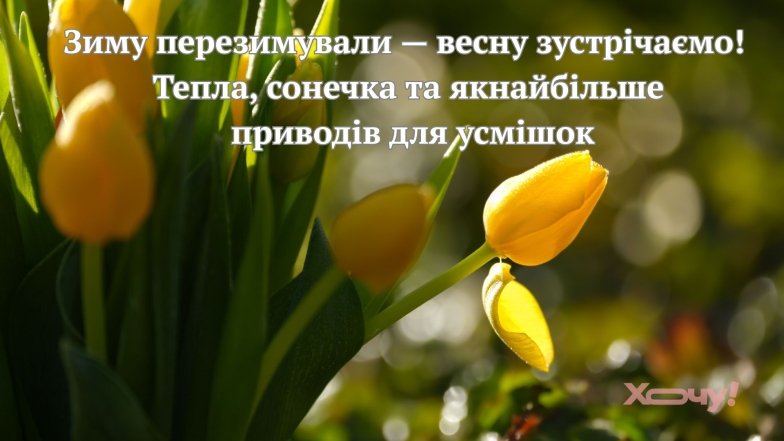 Листівки з першим днем весни та красиві картинки з 1 березня